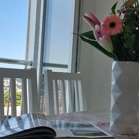 Infinity, Free Parking Dubrovnik